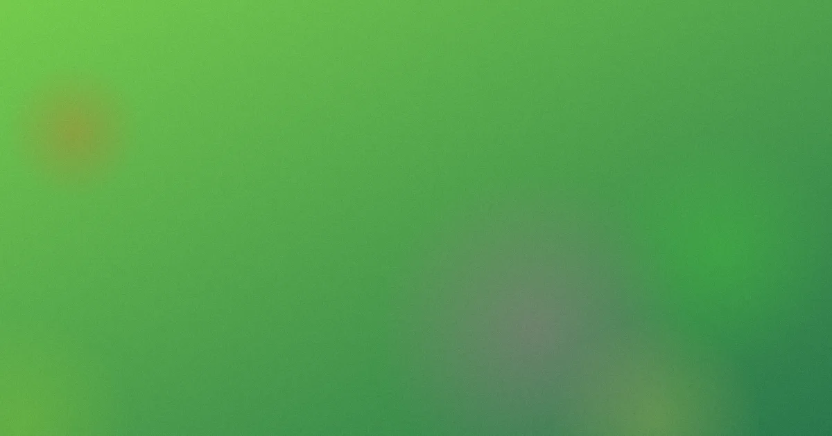 鹦鹉怕热吗怎么用：降温工具实测